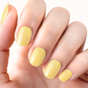 Lemon Sherbet