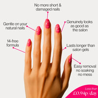 Holy Gels Starter Kit + Free Gifts