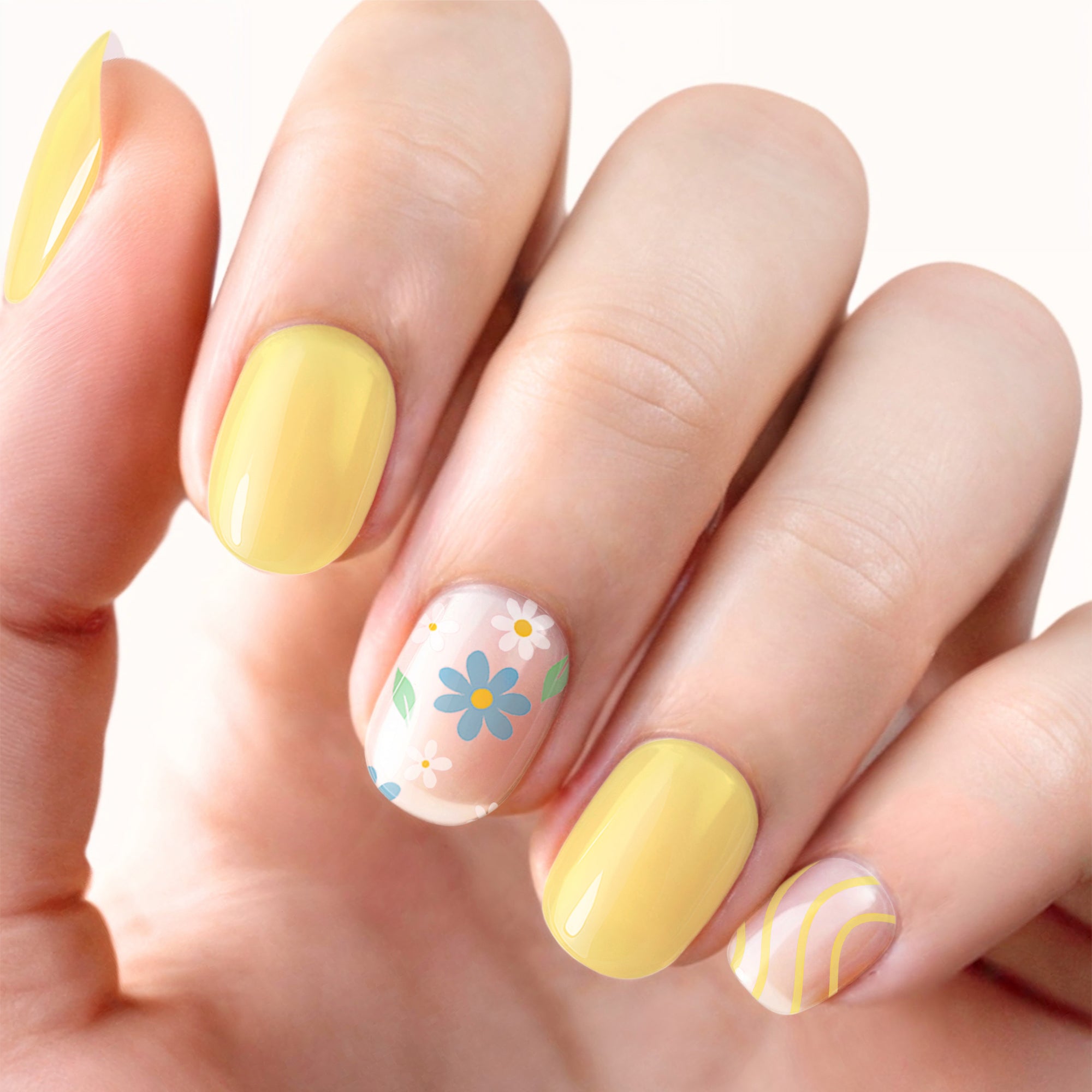 718-SunnyDaisies_Modified.jpg