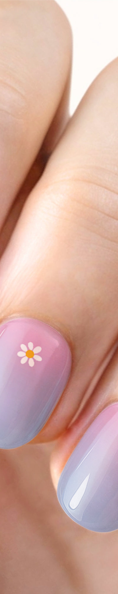 748-DaisyGlowReadyModified.jpg