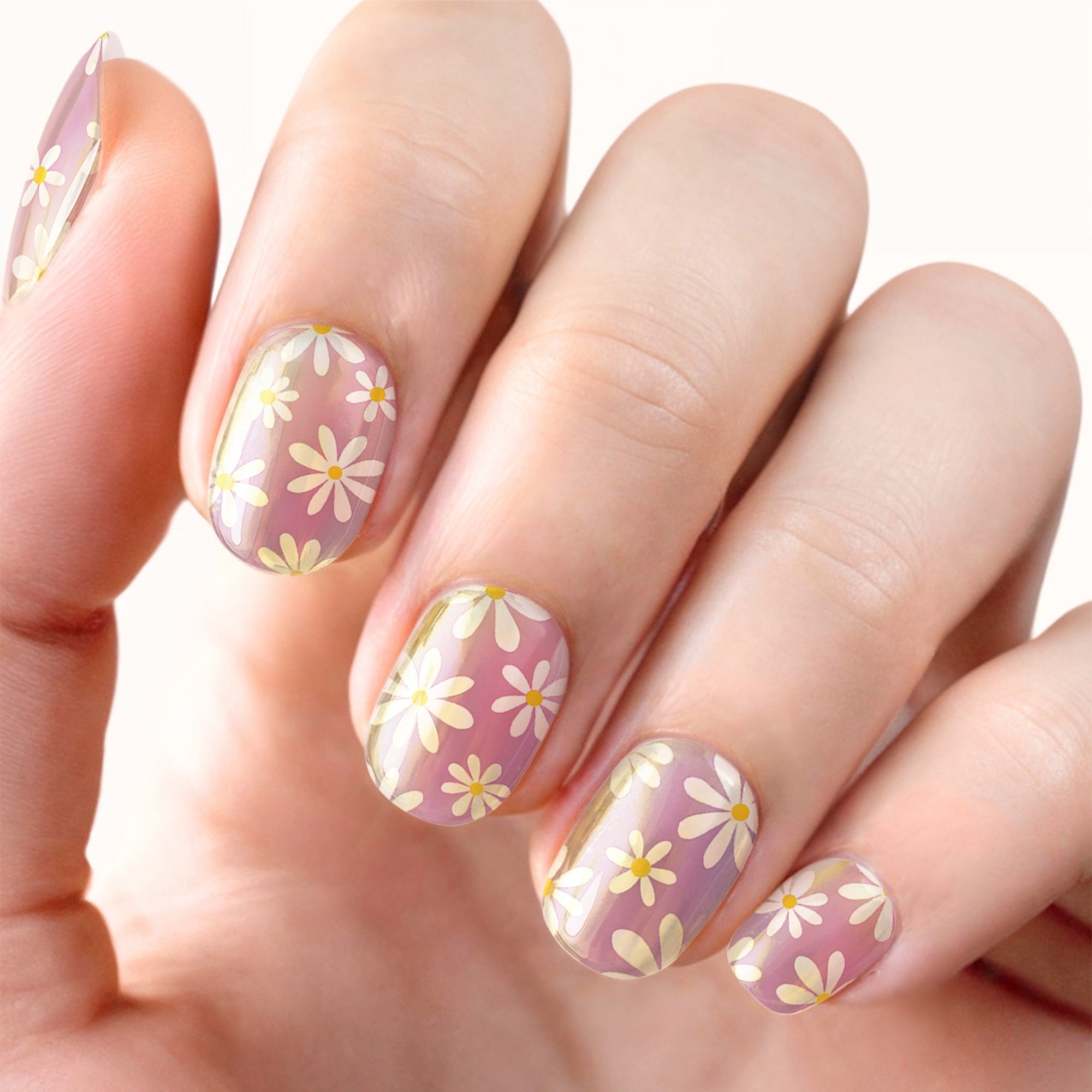 754-DaisyChain_Ready_modifiedii.jpg