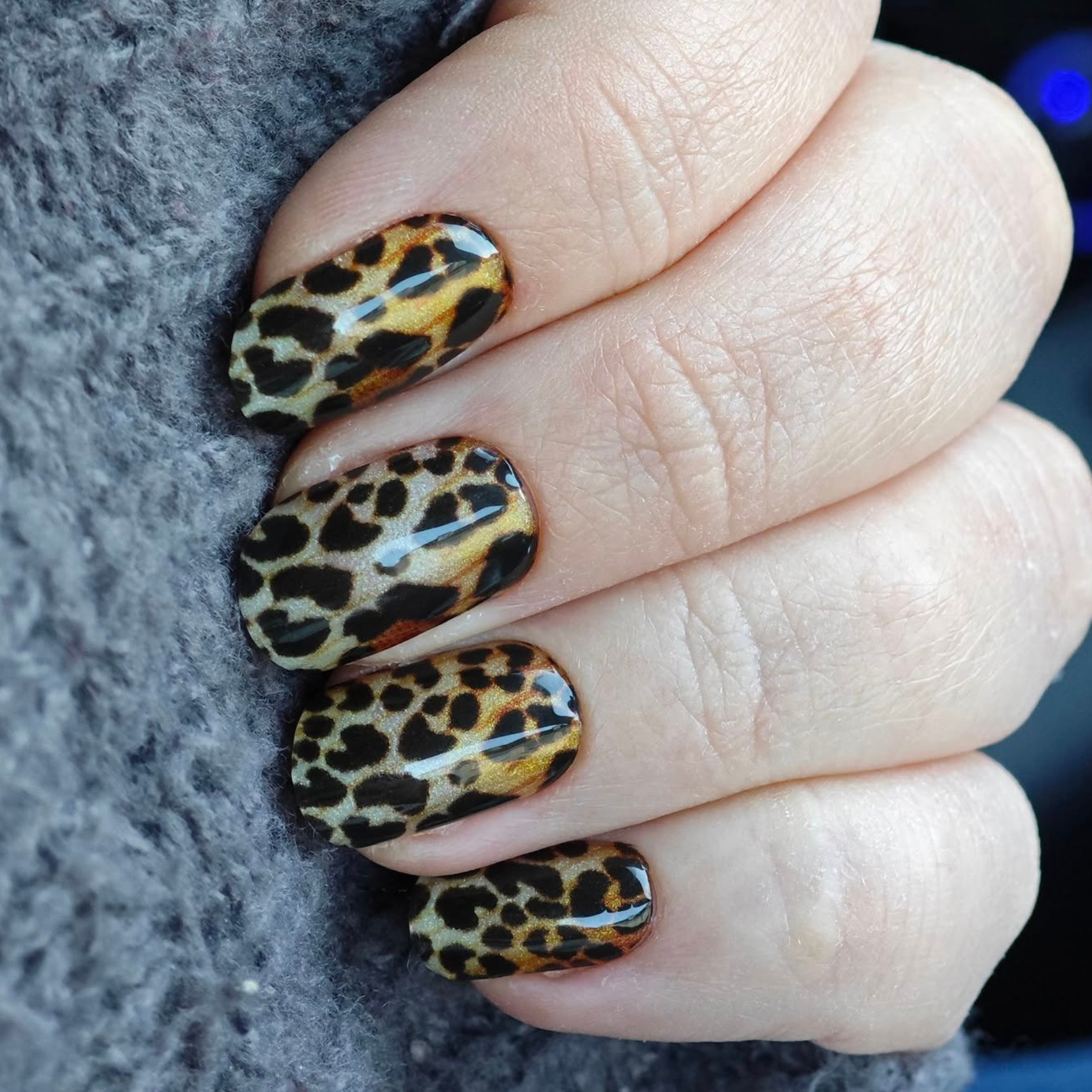 Leopard