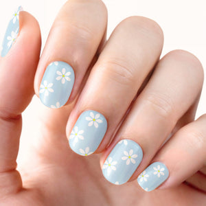 Daisy Skies